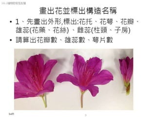 101.2植物的有性生殖