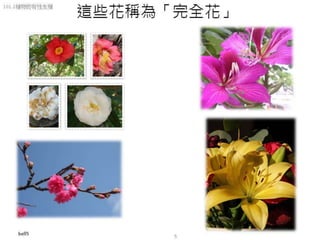 101.2植物的有性生殖