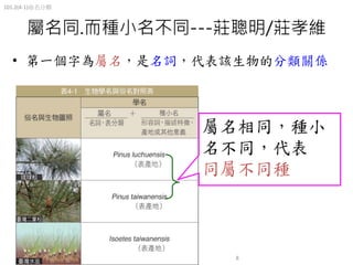101 2 4 1 命名與分類 1