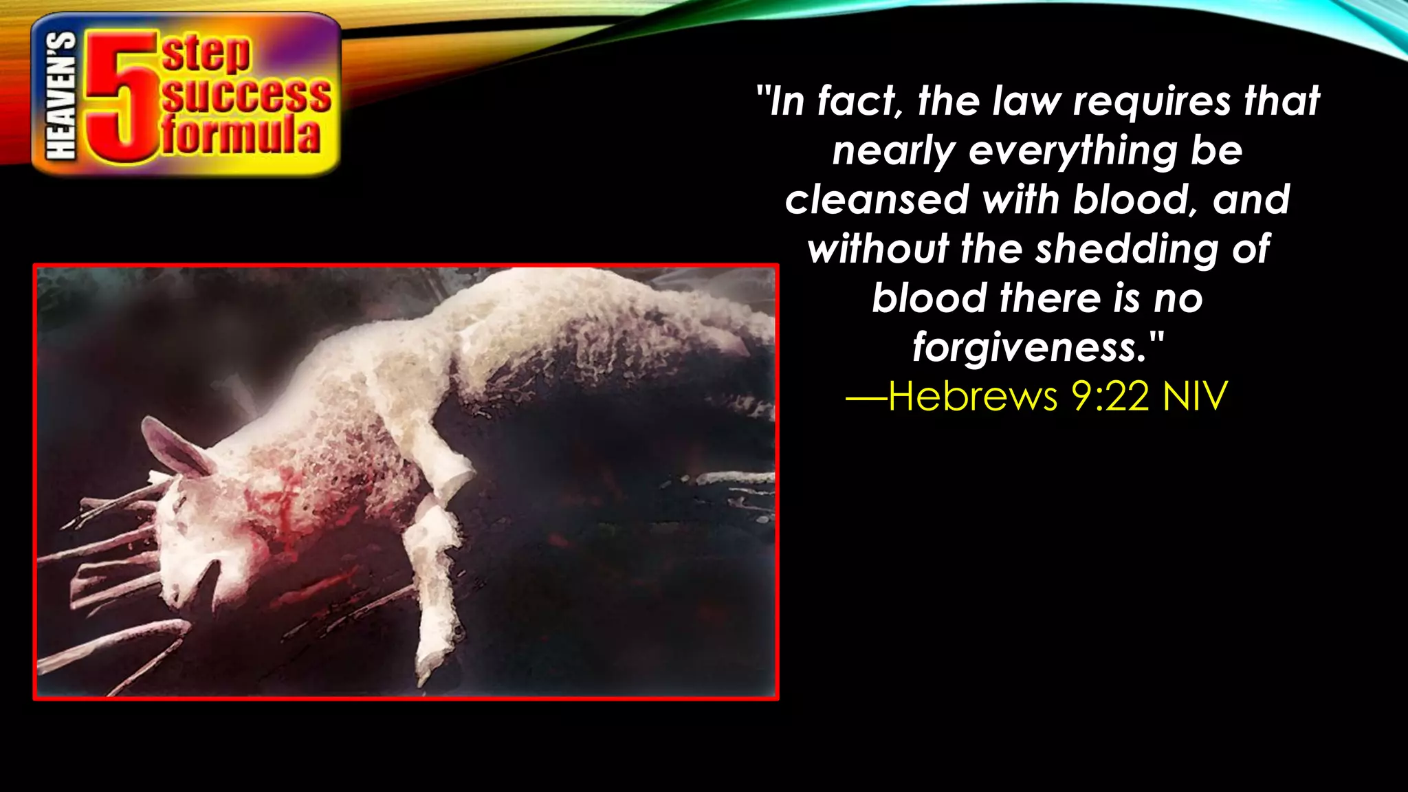 "In fact, the law requires that
nearly everything be
cleansed with blood, and
without the shedding of
blood there is no
forgiveness."
—Hebrews 9:22 NIV
 