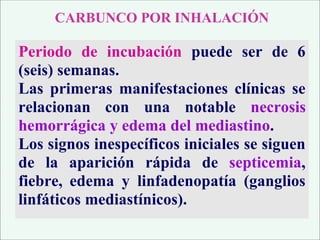 Periodo de incubación puede ser de 6
(seis) semanas.
Las primeras manifestaciones clínicas se
relacionan con una notable necrosis
hemorrágica y edema del mediastino.
Los signos inespecíficos iniciales se siguen
de la aparición rápida de septicemia,
fiebre, edema y linfadenopatía (ganglios
linfáticos mediastínicos).
CARBUNCO POR INHALACIÓN
 