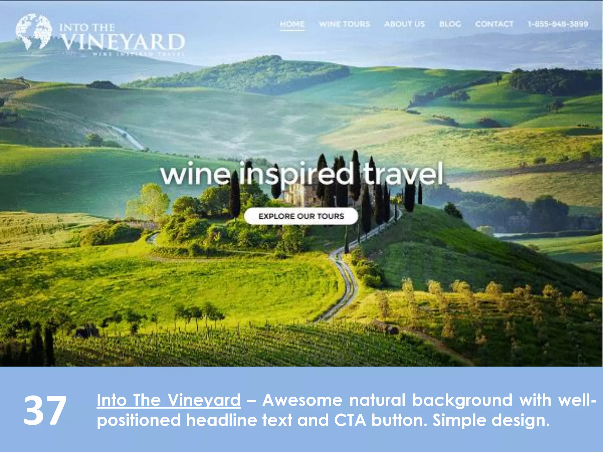 37 Into The Vineyard – Awesome natural background with well-
positioned headline text and CTA button. Simple design.
 