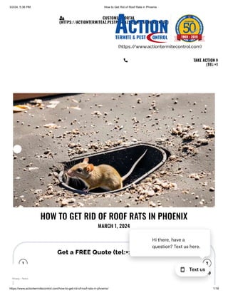 HOW TO GET RID OF ROOF RATS IN PHOENIX..