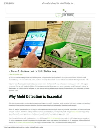Is There a Tool to Detect Mold in Walls? Find Out How