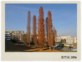 佐竹台, 2006
 