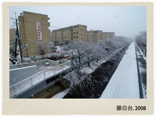 藤白台, 2008
 