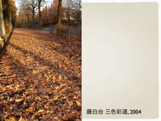 藤白台 三色彩道, 2004
 