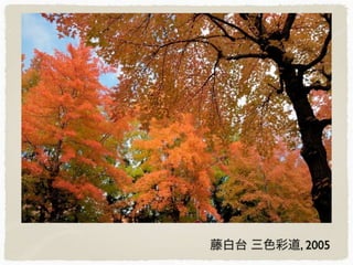 藤白台 三色彩道, 2005
 