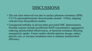 DISCUSSIONS
• The red color observed was due to surface plasmon resonance (SPR).
UV-Vis spectrophotometer showed peaks around ~318nm, aligning
with previous biosynthesis studies.
• Unexpected turbidity in all test tubes prevented MIC determination.
Possible reasons include insufficient SeNP concentration, aggregation
reducing antimicrobial effectiveness, or bacterial resistance affecting
nanoparticle uptake. Future studies should optimize dosage, reduce
particle size, or increase incubation time to enhance antimicrobial
efficiency.
 