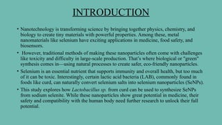 INTRODUCTION
• Nanotechnology is transforming science by bringing together physics, chemistry, and
biology to create tiny materials with powerful properties. Among these, metal
nanomaterials like selenium have exciting applications in medicine, food safety, and
biosensors.
• However, traditional methods of making these nanoparticles often come with challenges
like toxicity and difficulty in large-scale production. That’s where biological or "green"
synthesis comes in—using natural processes to create safer, eco-friendly nanoparticles.
• Selenium is an essential nutrient that supports immunity and overall health, but too much
of it can be toxic. Interestingly, certain lactic acid bacteria (LAB), commonly found in
foods like curd, can naturally convert selenium salts into selenium nanoparticles (SeNPs).
• This study explores how Lactobacillus sp. from curd can be used to synthesize SeNPs
from sodium selenite. While these nanoparticles show great potential in medicine, their
safety and compatibility with the human body need further research to unlock their full
potential.
 