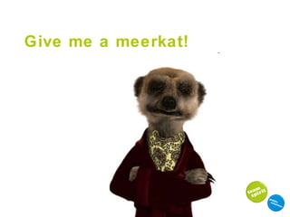 Give me a meerkat! 