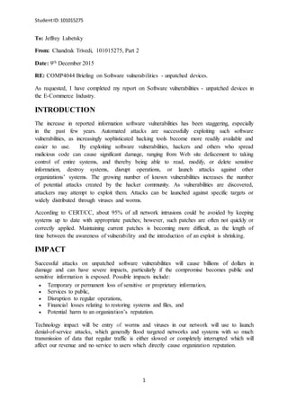 Report on Software Vulnerabilities in the financial industry | DOCX ...