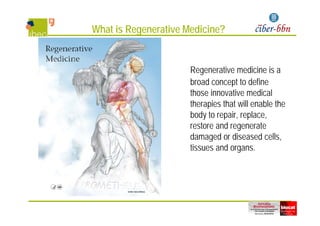 What is Regenerative Medicine?
Regenerative medicine is a
broad concept to define
those innovative medical
therapies that will enable the
bod to repair replacebody to repair, replace,
restore and regenerate
damaged or diseased cellsdamaged or diseased cells,
tissues and organs.
 
