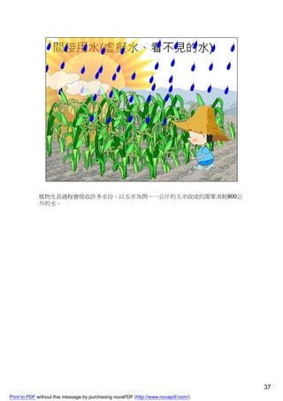 植物生長過程會吸收許多水份，以玉米為例，一公斤的玉米收成約需要消耗900公
             升的水。




                                                                                    37
Print to PDF without this message by purchasing novaPDF (http://www.novapdf.com/)
 