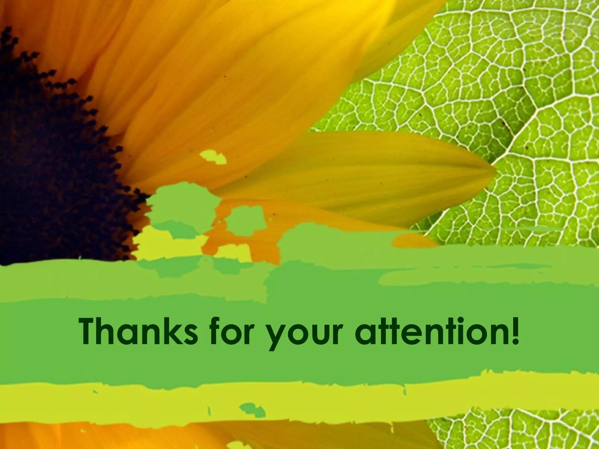 Thanks for your attention! 