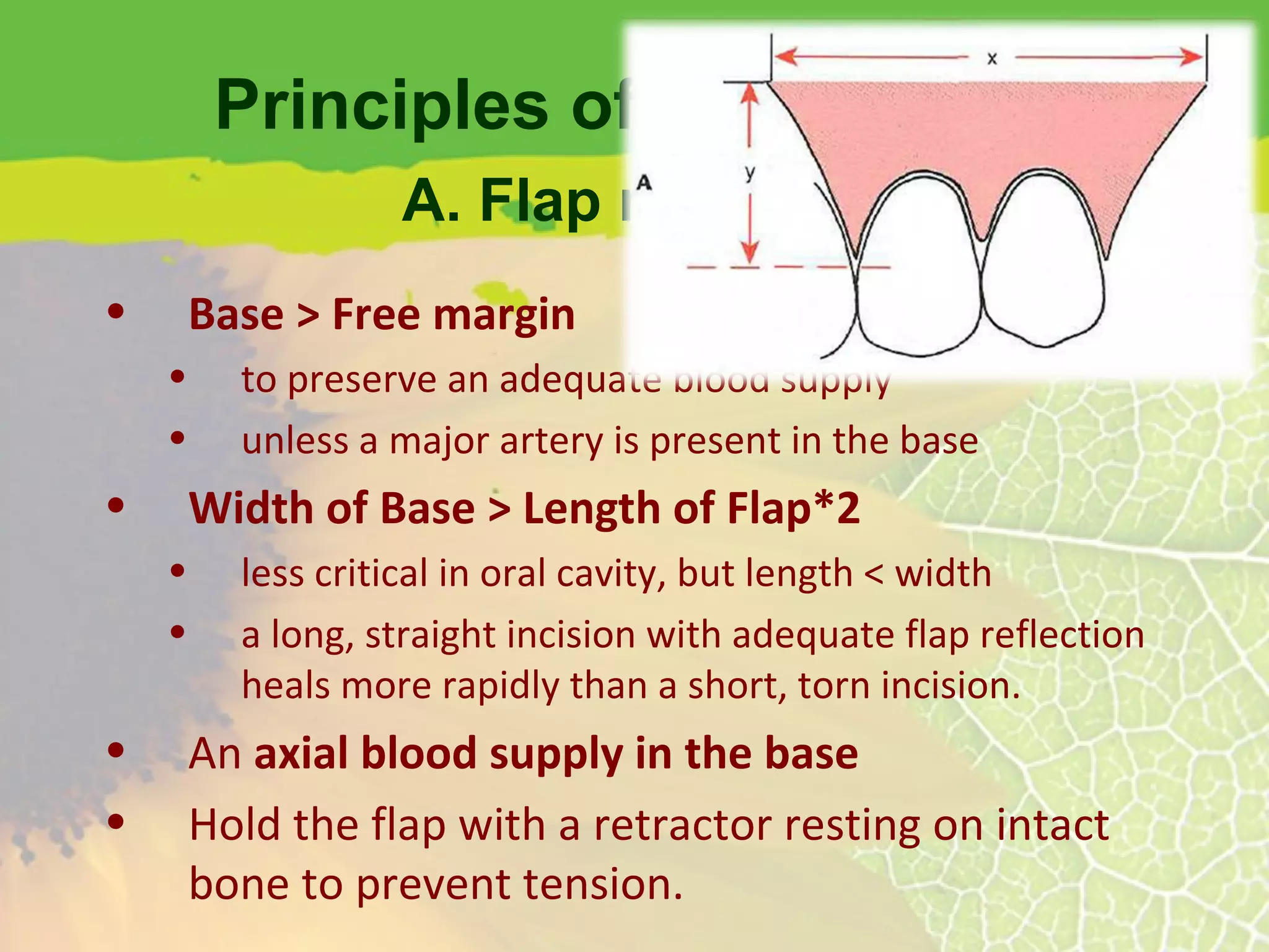 Principles of Flap Design Base > Free margin to preserve an adequate blood supply unless a major artery is present in the base Width of Base > Length of Flap*2 less critical in oral cavity, but length < width a long, straight incision with adequate flap reflection heals more rapidly than a short, torn incision. An  axial blood supply   in the base Hold the flap with a retractor resting on intact bone to prevent tension. A. Flap necrosis 