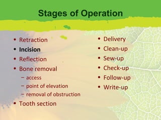 Stages of Operation Retraction Incision Reflection Bone removal access point of elevation removal of obstruction Tooth section Delivery Clean-up Sew-up Check-up Follow-up Write-up 