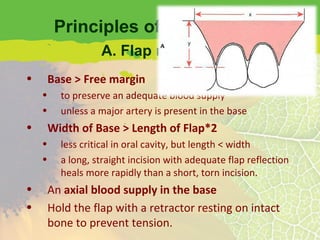 Principles of Flap Design Base > Free margin to preserve an adequate blood supply unless a major artery is present in the base Width of Base > Length of Flap*2 less critical in oral cavity, but length < width a long, straight incision with adequate flap reflection heals more rapidly than a short, torn incision. An  axial blood supply   in the base Hold the flap with a retractor resting on intact bone to prevent tension. A. Flap necrosis 