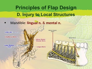 Principles of Flap Design Mandible :  lingual n.  &  mental n. D. Injury to Local Structures 
