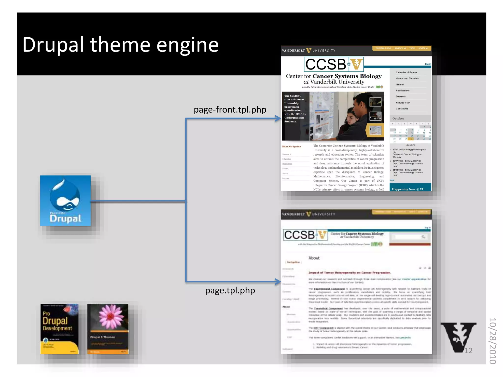 What is bioinformatics?Drupal theme engine
12
10/28/2010
page-front.tpl.php
page.tpl.php
 