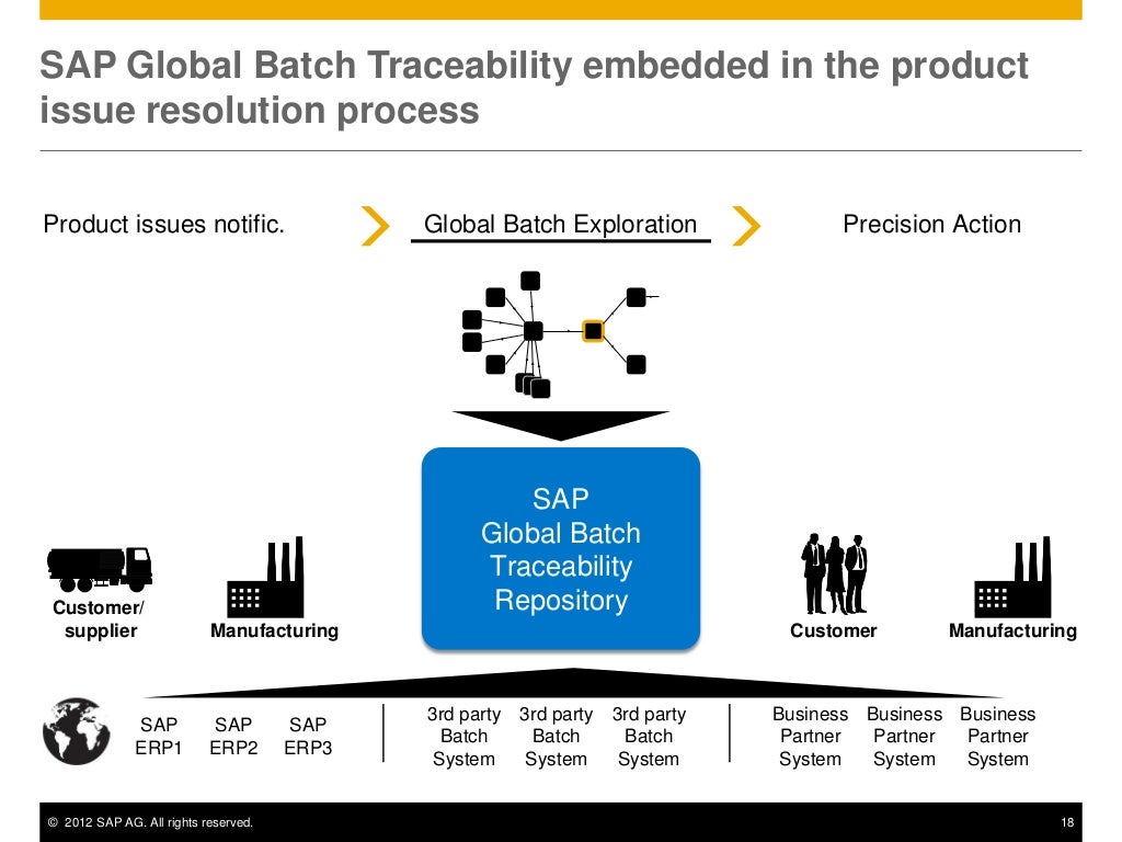 1010 introducing the new sap global batch traceability gbt key to man…