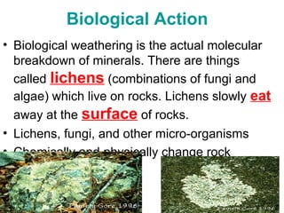 10 10 types of weathering | PPT