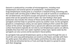 green synthesis by silver nano particles | PPT | Free Download