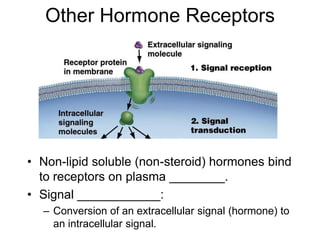 Other Hormone Receptors
• Non-lipid soluble (non-steroid) hormones bind
to receptors on plasma ________.
• Signal ____________:
– Conversion of an extracellular signal (hormone) to
an intracellular signal.
 