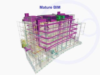 Mature BIM 