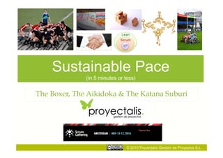 © 2010 Proyectalis Gestión de Proyectos S.L.
Sustainable Pace
(in 5 minutes or less)
The Boxer, The Aikidoka & The Katana Suburi
 