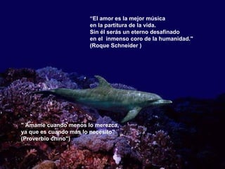 “ El amor es la mejor música en la partitura de la vida. Sin él serás un eterno desafinado  en el  inmenso coro de la humanidad." (Roque Schneider ) " Ámame cuando menos lo merezca,  ya que es cuando más lo necesito"  (Proverbio chino") 
