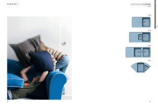 Premium
     CRISTADUR® LOTUS
                  classic




                   D-100




                                      LOTUS
                   D-150




                   D-200




                   C-150




80                    81
 