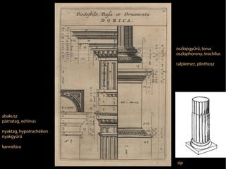 abakusz
párnatag, echinus
nyaktag, hypotrachélion
nyakgyűrű
kannelúra
oszlopgyűrű, torus
oszlophorony, trochilus
talplemez, plinthosz
síp
 
