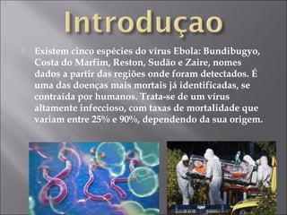  Existem cinco espécies do vírus Ebola: Bundibugyo, 
Costa do Marfim, Reston, Sudão e Zaire, nomes 
dados a partir das regiões onde foram detectados. É 
uma das doenças mais mortais já identificadas, se 
contraída por humanos. Trata-se de um vírus 
altamente infeccioso, com taxas de mortalidade que 
variam entre 25% e 90%, dependendo da sua origem. 
 