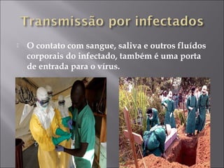  O contato com sangue, saliva e outros fluídos 
corporais do infectado, também é uma porta 
de entrada para o vírus. 
 