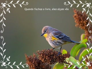 Quando fechas o livro, eles alçam vôo 