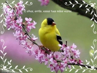 E olhas, então, essas tuas mãos vazias, 