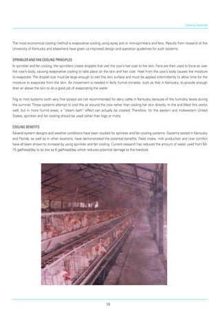 The most economical cooling method is evaporative cooling using spray jets or mini-sprinklers and fans. Results from research at the
University of Kentucky and elsewhere have given us improved design and operation guidelines for such systems.
Sprinkler and Fan Cooling Principles
In sprinkler and fan cooling, the sprinklers create droplets that wet the cow’s hair coat to the skin. Fans are then used to force air over
the cow’s body, causing evaporative cooling to take place on the skin and hair coat. Heat from the cow’s body causes the moisture
to evaporate. The droplet size must be large enough to wet the skin surface and must be applied intermit­tently to allow time for the
moisture to evaporate from the skin. Air movement is needed in fairly humid cli­mates, such as that in Kentucky, to provide enough
drier air above the skin to do a good job of evaporating the water.
Fog or mist systems (with very fine sprays) are not recommended for dairy cattle in Kentucky because of the humidity levels during
the summer. Those systems attempt to cool the air around the cow rather than cooling her skin directly. In the arid West this works
well, but in more humid areas, a “steam bath” effect can actually be created. Therefore, for the eastern and midwestern United
States, sprinkler and fan cooling should be used rather than fogs or mists.
Cooling Benefits
Several system designs and weather conditions have been studied for sprinkler and fan cooling systems. Systems tested in Kentucky
and Florida, as well as in other locations, have demonstrated the potential benefits. Feed intake, milk production and cow comfort
have all been shown to increase by using sprinkler and fan cooling. Current research has reduced the amount of water used from 50-
75 gal/head/day to as low as 6 gal/head/day which reduces potential damage to the livestock.
Cooling livestock
39
 