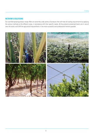 Cooling
Netafim’s solutions
Our sprinkler-spraying product range offers an extremely wide variety of products that will meet all cooling requirements by applying
the various methods to the different crops, in accordance with their specific needs. All the products presented herein are in use all
over the world, and fulfill the agricultural requirements in the most successful and professional manner possible.
3
 