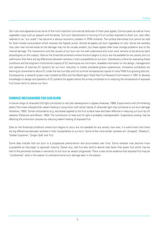 Cooling
Skin color and appearance are some of the most important commercial attributes of fresh pack apples, Comice pears as well as many
vegetable crops such as peppers and tomatoes. Sun burn (discoloration or burning of fruit surface exposed to direct sun, also often
referred to as “sun scald”) has become a serious economic problem in PNW orchards. The surface blemished fruit cannot be sold
for fresh market consumption which receives the highest prices. Almost all apples can burn regardless of color. Some red varieties
may color over burned areas so the damage may not be visually evident, but these apples often have storage problems due to the
internal damage. The mechanisms and the causes of sun burn are not well understood and much work remains to be done by plant
physiologists on this subject. Data on the threshold conditions where the burn begins to occur are not available for any variety, but it is
well known that there are big differences between varieties in their susceptibility to sun burn. Satisfactory criteria for evaluating these
conditions and the long-term horticultural impacts of EC techniques are not known. Available information on the design, management
and operation of overtree EC systems for sun burn reduction is mostly anecdotal grower experiences. Innovative orchardists are
learning by trial-and-error about EC under the low humidity and hot summer temperatures typical of many PNW fruit growing districts.
Consequently, a research project was initiated by WSU and the Washington StateTree Fruit Research Commission in 1991 to develop
knowledge on design and operation of EC systems for apples where the primary emphasis is on reducing the temperature of exposed
fruit tissue (skin) to reduce sun burn.
Damage Mechanisms for Sun Burn
A narrow range of ultraviolet (UV) light contributes to red color development in apples (Arakawa, 1988). Experiments with UV-inhibiting
plastic films have indicated that radiant heating in conjunction with certain bands of ultraviolet light may contribute to sun burn damage
(Andrews, 1993). Certain antioxidants (e.g. ascorbate) applied to the fruit surface have also been effective in reducing sun burn by UV
radiation (Patterson and Moore, 1983). The contribution of heat and UV light is probably interdependent. Evaporative cooling may be
affecting the entire burn process by reducing radiant heating of exposed fruit.
Data on the threshold conditions where burn begins to occur are not available for any variety, how ever, it is well known that there
are big differences between varieties in their susceptibility to sun burn. Some of the more tender varieties are ‘Jonagold’, ‘Braeburn’,
‘Golden Supreme’, ‘Ginger Gold’ and ‘Fuji’.
Some data indicate that sun burn is a progressive phenomenon and accumulates over time. Some varieties may become more
susceptible as they begin to approach maturity. Darker (e.g. red) fruit also tend to absorb heat faster than green fruit which may be
tied to the perceived increase in sensitivity to sun burn as season progresses.There is also some evidence that exposed fruit may be
“conditioned” early in the season to withstand some burn damage later in the season.
5
 