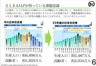 SATOMARU Limited Liability Partnership 2010 All Rights Reserved.
                                                                   6
 