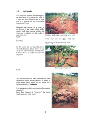 5.3      Soil bunds

Soil bunds are used for transporting run-
off water from a catchment area, such as
a road, into either a murram pit, an earth
dam or a ground tank or for seasonal
irrigation of fields.

Fruit trees and bananas can be grown in
the bottom of soil bunds, while fodder
grasses and multi-purpose scrubs and
trees can be planted on the banks of
excavated soil.                         Bananas and papaya growing in a soil
bund,
                                        while sisal and kei apple mark the
boundary
                                        by growing on the downstream bank.

In this photo, the soil bund has to be
cleaned of banana debris before it can
divert run-off water to the far end of the
field where it is needed for seasonal
irrigation.




                                                      Bananas growing a soil
bund.




Soil bunds can also be made on steep land if the
velocity of run-off water is slowed by means of
large stones placed across the soil bunds. Such
barriers are called check dams.

It is advisable to plant creeping grass between the
stones of c
heck dams because it “concretes” the stones
together as seen in the photo.




                                             2
 