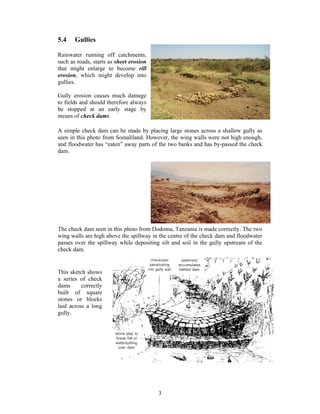 5.4    Gullies

Rainwater running off catchments,
such as roads, starts as sheet erosion
that might enlarge to become rill
erosion, which might develop into
gullies.

Gully erosion causes much damage
to fields and should therefore always
be stopped at an early stage by
means of check dams.

A simple check dam can be made by placing large stones across a shallow gully as
seen in this photo from Somaliland. However, the wing walls were not high enough,
and floodwater has “eaten” away parts of the two banks and has by-passed the check
dam.




The check dam seen in this photo from Dodoma, Tanzania is made correctly. The two
wing walls are high above the spillway in the centre of the check dam and floodwater
passes over the spillway while depositing silt and soil in the gully upstream of the
check dam.


This sketch shows
a series of check
dams      correctly
built of square
stones or blocks
laid across a long
gully.




                                         3
 