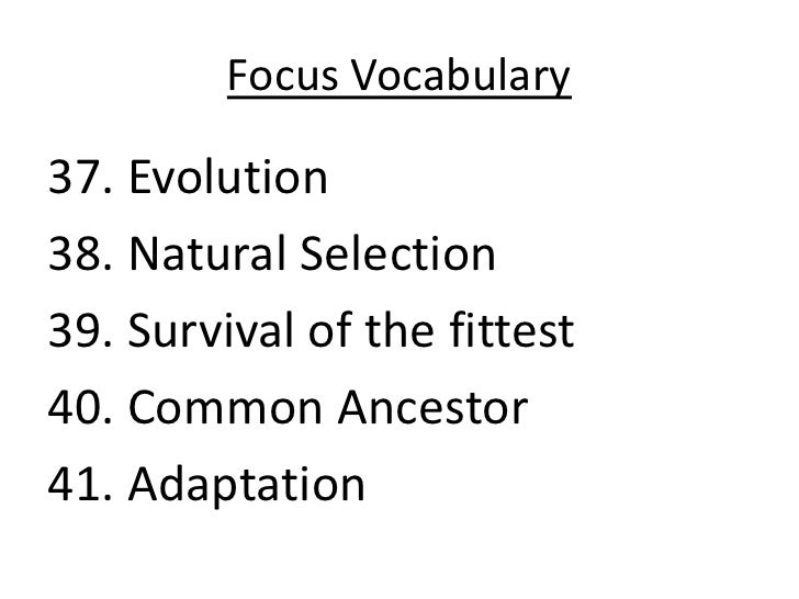 Explain Natural Selection In Your Own Words Explain Natural Selection In Your Own Words
