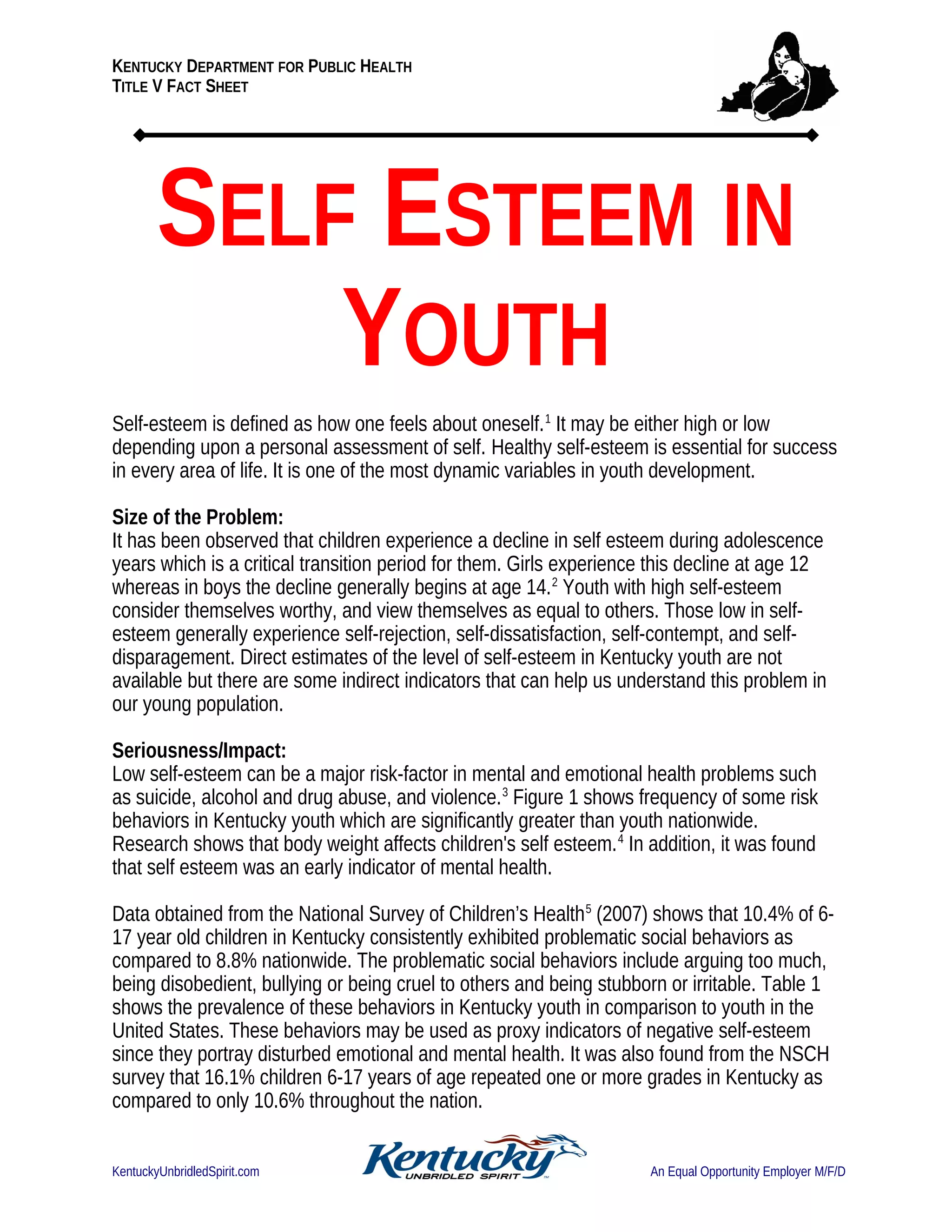 SELF ESTEEM IN YOUTH | PDF