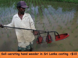 Soil-aerating hand weeder in Sri Lanka costing <$10 