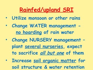 Rainfed/upland SRI <ul><li>Utilize monsoon or other rains </li></ul><ul><li>Change WATER management -  no hoarding  of rai...