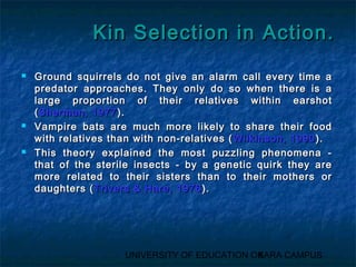 KKiinn SSeelleeccttiioonn iinn AAccttiioonn.. 
 GGrroouunndd ssqquuiirrrreellss ddoo nnoott ggiivvee aann aallaarrmm ccaallll eevveerryy ttiimmee aa 
pprreeddaattoorr aapppprrooaacchheess.. TThheeyy oonnllyy ddoo ssoo wwhheenn tthheerree iiss aa 
llaarrggee pprrooppoorrttiioonn ooff tthheeiirr rreellaattiivveess wwiitthhiinn eeaarrsshhoott 
((SShheerrmmaann,, 11997777)).. 
 VVaammppiirree bbaattss aarree mmuucchh mmoorree lliikkeellyy ttoo sshhaarree tthheeiirr ffoooodd 
wwiitthh rreellaattiivveess tthhaann wwiitthh nnoonn--rreellaattiivveess ((WWiillkkiinnssoonn,, 11999900)).. 
 TThhiiss tthheeoorryy eexxppllaaiinneedd tthhee mmoosstt ppuuzzzzlliinngg pphheennoommeennaa -- 
tthhaatt ooff tthhee sstteerriillee iinnsseeccttss -- bbyy aa ggeenneettiicc qquuiirrkk tthheeyy aarree 
mmoorree rreellaatteedd ttoo tthheeiirr ssiisstteerrss tthhaann ttoo tthheeiirr mmootthheerrss oorr 
ddaauugghhtteerrss ((TTrriivveerrss && HHaarree,, 11997766)).. 
UNIVERSITY OF EDUCATION OK6ARA CAMPUS 
 