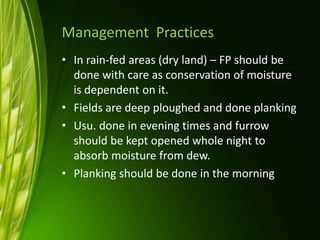 Management Practices
• In rain-fed areas (dry land) – FP should be
done with care as conservation of moisture
is dependent on it.
• Fields are deep ploughed and done planking
• Usu. done in evening times and furrow
should be kept opened whole night to
absorb moisture from dew.
• Planking should be done in the morning
 
