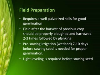 Field Preparation
• Requires a well pulverized soils for good
germination
• Field after the harvest of previous crop
should be properly ploughed and harrowed
2-3 times followed by planking
• Pre-sowing irrigation (wetland) 7-10 days
before sowing seed is needed for proper
germination.
• Light leveling is required before sowing seed
 